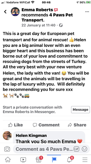 4 Paws Pet Transport Southampton UK image